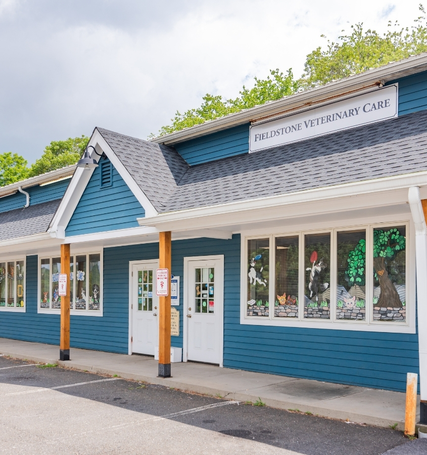 Fieldstone Veterinary Care Building