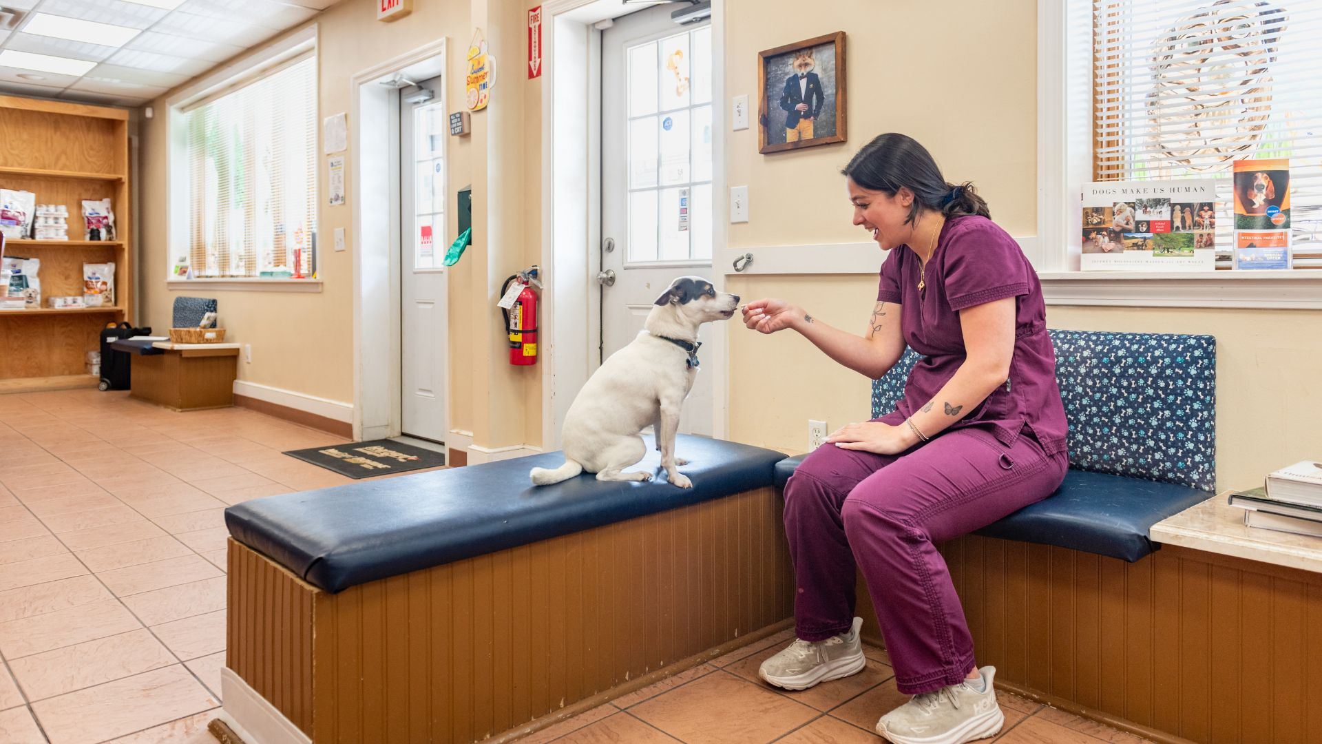 vet staff offering treat to a dog
