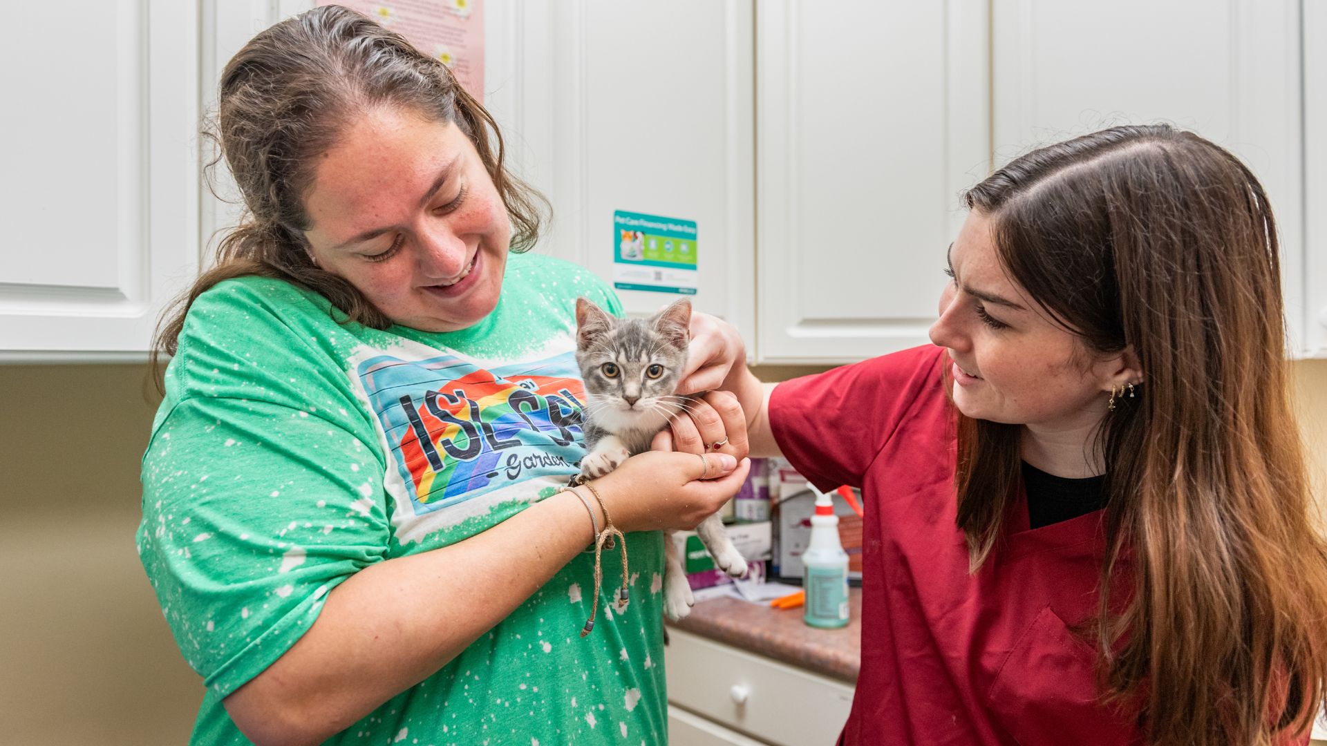 Vet staff and a lady holding a kitten